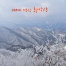 괘방령로 Daum카페