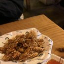 역전할머니맥주 / 새우 마빡 튀김 / 짜파구리 / 살얼음맥주 / 역전할맥 메뉴 / 내돈내산 / 솔직후기