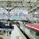 2025 순천 댕댕트레인 이미지