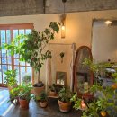 지곡13길 14-1, (지현동) | 요즘 일상 💖 충주Foodie 편(아흐레커피, 충주카이막파는 수국여울, 감성술집, 하쿠, 뚤리, 단오, 카페...