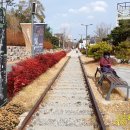 포항철길숲 이미지