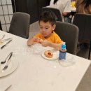 박농부디자인 - 달서구 상원로15길 62 | 판교 나인트리 아기랑 호캉스 수영장 이용시간 가격 예약 모자 X 수영모 O 주니어 스위트 더블룸 사진...