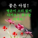 당신이 김장독 보다 커 이미지