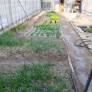 꽃피는산골민박 이미지