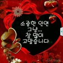 락헤어 이미지