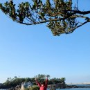 캠프어게인 이미지