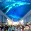 여수 엑스포 갑니다 이미지