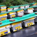 유성대로(유성-31) 이미지