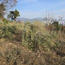 지우농원 이미지