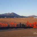 (주)월곡영화골 이미지