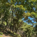 목포영산초등학교 이미지