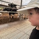 승한목장 이미지