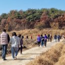 두레영농조합법인 이미지