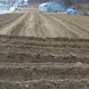 상일농장 이미지