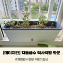 식물 자동급수 그린팜 | 다육식물 분갈이 ｜ 데이지안 저면관수 자동급수 직사각형 화분