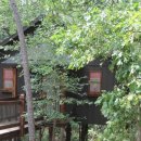 숲속트리하우스 이미지