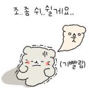 멜버른승마 이미지