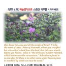 하늘29 이미지