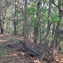 석봉축산 이미지