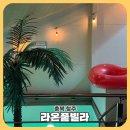빌라라온 | 충북 청주 가성비 풀빌라 [라온풀빌라] 솔직후기 / 청주숙소 / 숙소추천 / 기념일숙소 / 충청도펜션