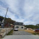 라파미 D 이미지