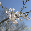 수진 공원 이미지