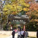 합천천로 이미지