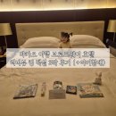 브로드웨이커피프라임호텔점 | 돌아기랑 마카오 여행 가성비 좋은 브로드웨이 호텔 리버뷰 킹 객실 3박 후기 (+아기침대)