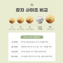 햇수미감자 구매 후기 감자요리 추천 그랜앤굿 두백감자