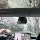 풍납중학교(내) | 신생아 데리고 아산병원 다녀오기(심잡음 진료, 갑상선 재검 등)