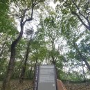 의령 죽전리 고분군 이미지