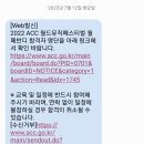 2017 ACC 월드뮤직 페스티벌 | 2022 ACC 월드뮤직페스티벌 광주 자원봉사 '월페반디' 후기: 지원 방법과 활동 정보