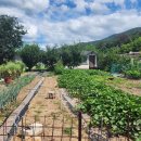 대곡2리 경로당 이미지