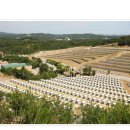 강릉청솔공원 이미지