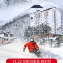 오투리조트오투스키장 네이버블로그
