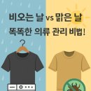 맑은 옷 이미지