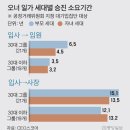 또래또래식당 중앙일보