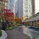 #쇼츠#신승태의 달란트~♡♡ 이미지