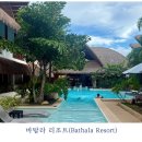 보홀 가성비 갑 숙소 : 바탈라 리조트(Bathala Resort) 조식과 장단점 자세히!