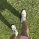 말레이시아 사파리 <얼룩말 잭> | 동남아 골프 필수템, 블카 골프스타킹 내돈내산 후기 (+ 말레이시아 골프장 원숭이 근황)