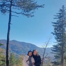 울산 산골마을 1박2일여행 인시눠소호 공정여행 후기