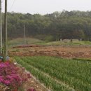 이대건신도비 이미지