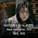 뉴 로맨틱(NEW ROMANTIC)