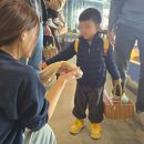 낙지이야기대명점 | 대곶면 바른튀김 178도씨에서 아기랑 제철음식먹은 찐맛집 후기 새조개샤브, 튀김 왕추천 / 아기랑...