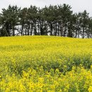 제주 memory 이미지