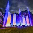 나오라쇼 공연장 이미지