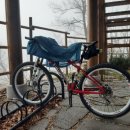 금오회초밥 이미지