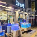 회;뜨는밤