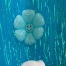 동글동글 애견미용실 이미지