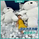 더큐리키즈카페 이미지